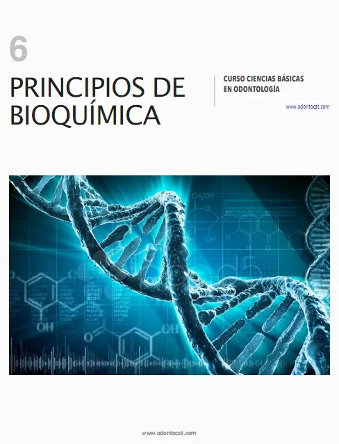 Unidad 6