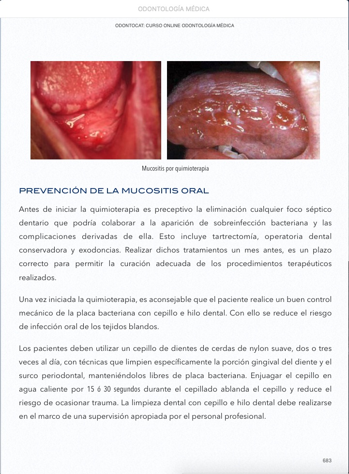 Ejemplo de formato iBook Odontocat 2